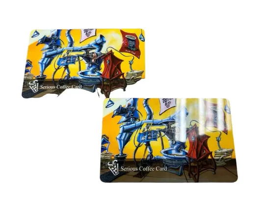 Carte en PVC d'impression nacrée avec bande magnétique pour musée